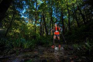 BIB: 
                            <button type="button" onclick="openModal(19240045)" class="btn btn-primary btn-sm float-right btn-popup" data-toggle="modal" data-target=".modal-high-quality">
                        <i class="fas fa-shopping-cart"></i> Add to Cart
                    </button>
                                            <button type="button" onclick="isThisMe(19240045, true)" class="btn btn-success btn-sm float-right btn-popup btn-isme hidden" data-toggle="tooltip" data-placement="bottom" title="นี่คือรูปของคุณใช่ไหม คลิกที่นี่เพื่อเอาเข้าอัลบั้ม">
                        <i class="fas fa-plus"></i> Add to album
                    </button>
                    <button type="button" onclick="isThisMe(19240045, false)" class="btn btn-warning btn-sm float-right btn-popup btn-isnotme hidden">
                        <i class="fas fa-ban"></i> Remove from album
                    </button>